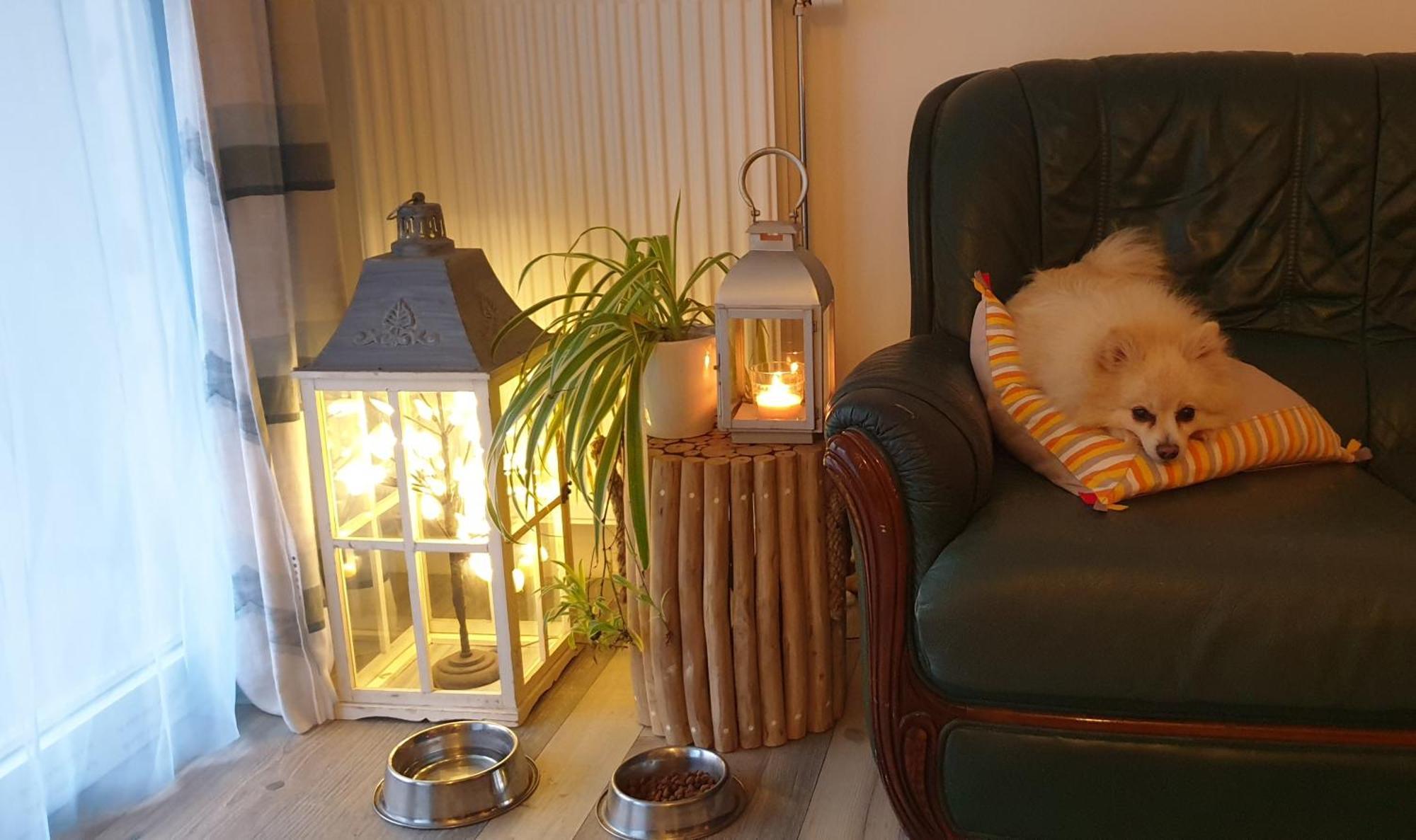 Nergens Apartment Rotterdam Luaran gambar